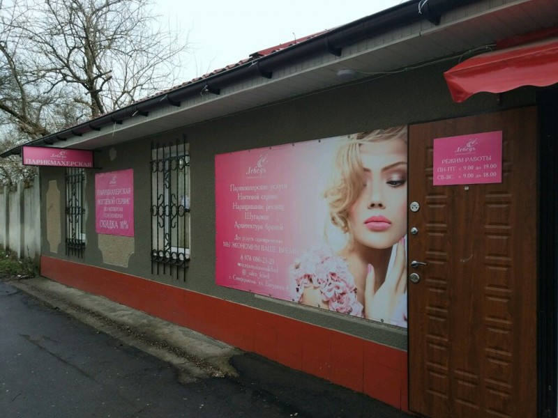 Лебедь. Салон красоты.